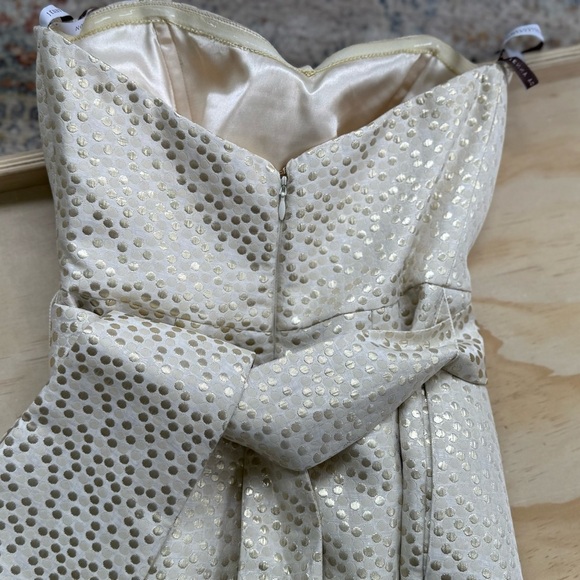 Jenny Yoo collection Elegant Cream Strapless Dress - Picture 5 of 6